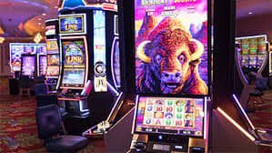 baji casino Android Version